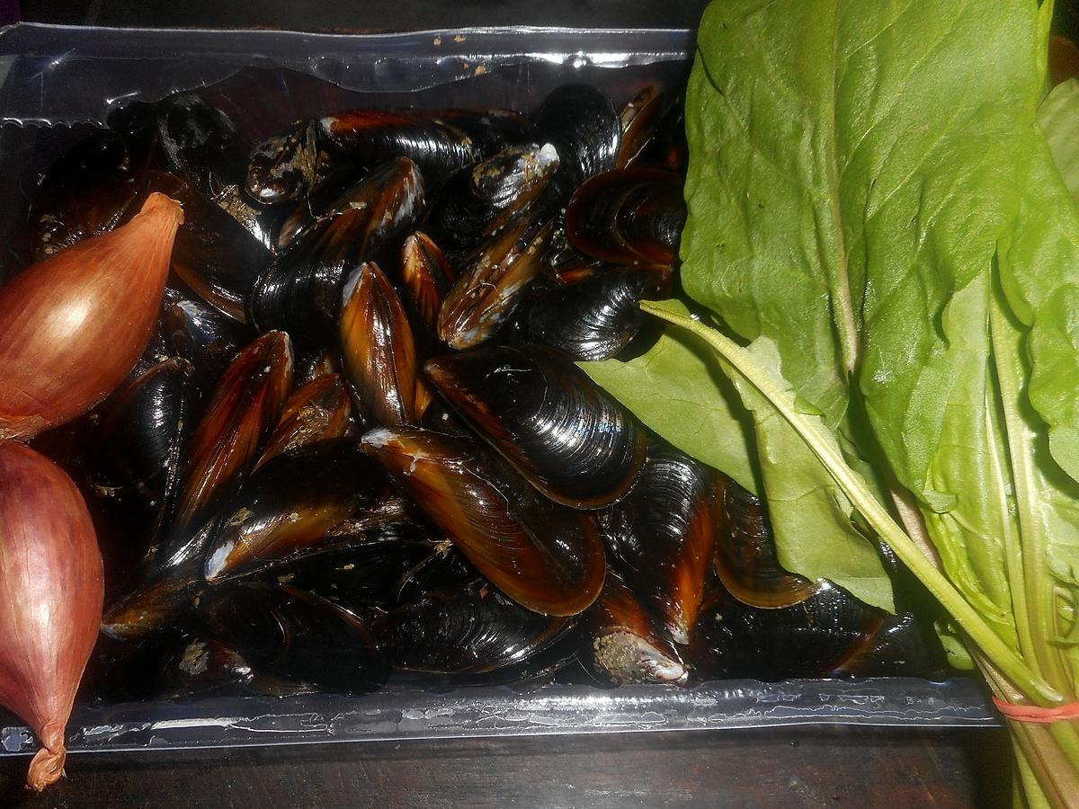 recette Moules a l oseille