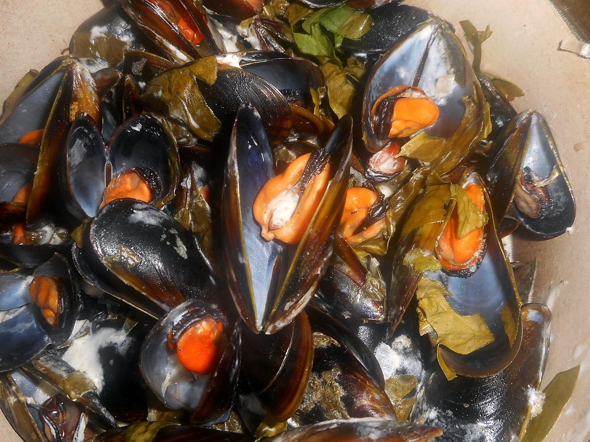 recette Moules a l oseille