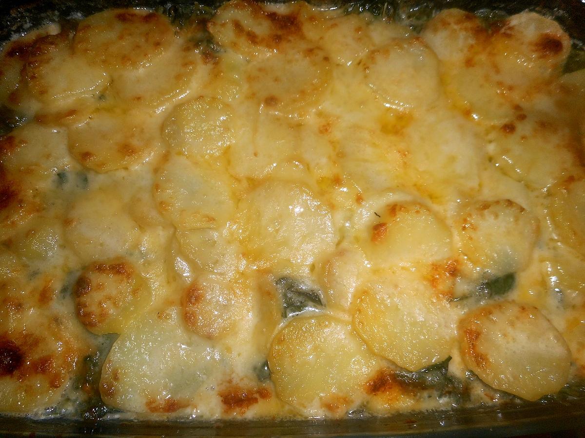 recette Gratin de merlu aux pommes de terre et aux épinard