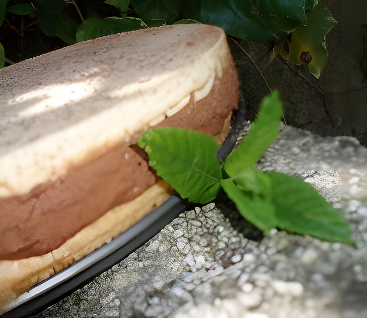 recette Bavarois menthe chocolat