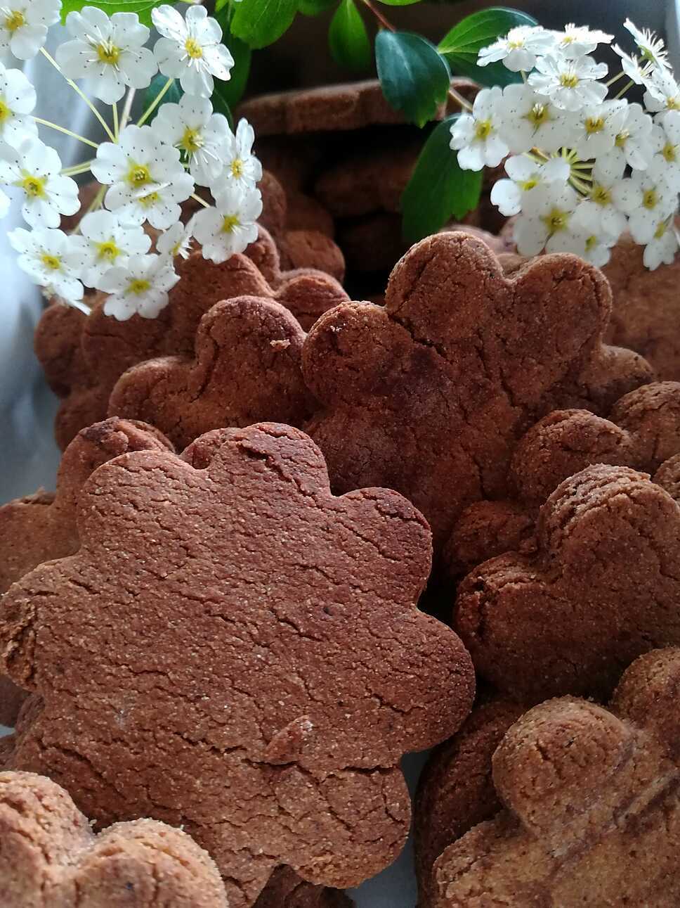 recette Sablés à la farine de châtaigne & pépites de chocolat