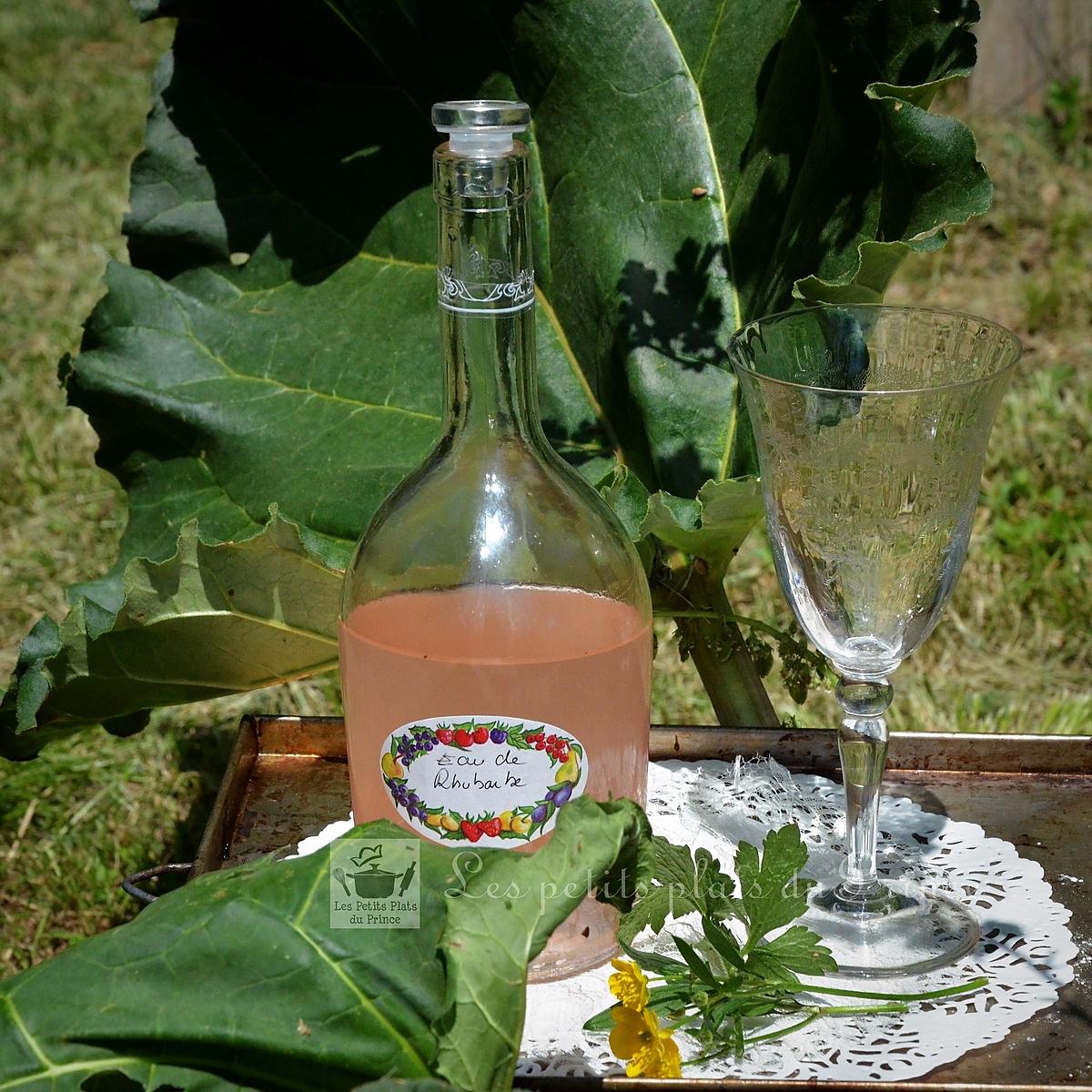 recette Eau de rhubarbe