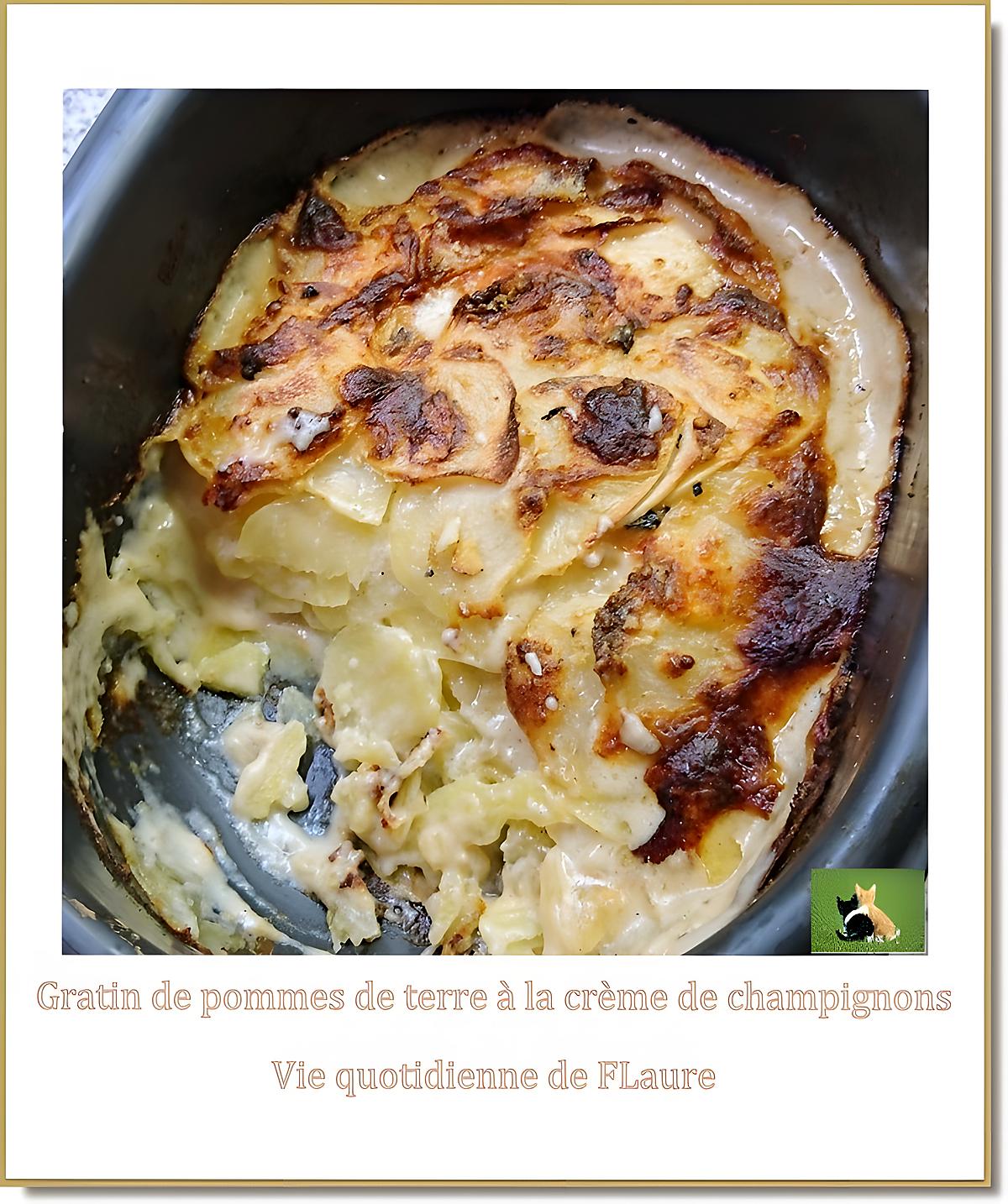 recette Gratin de pommes de terre à la crème de champignons