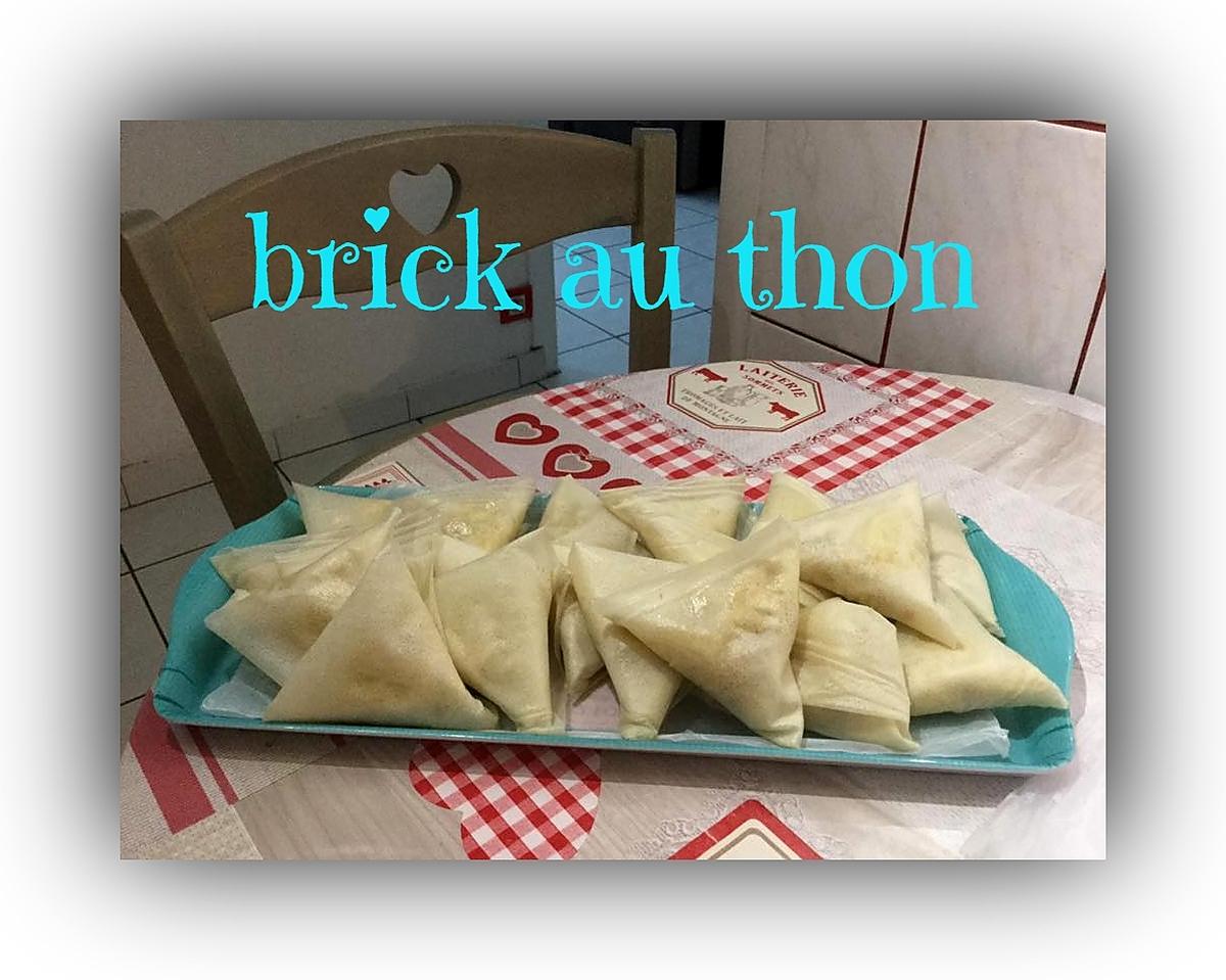 recette BRICK AU THON à L'ACTIFRY