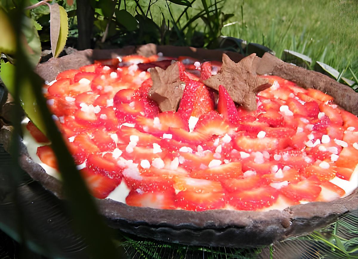 recette OooTarte pannacotta rhubarbe aux fraises ooO