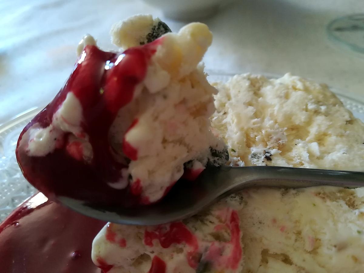 recette Nougat glacé avec son coulis de fruits rouges