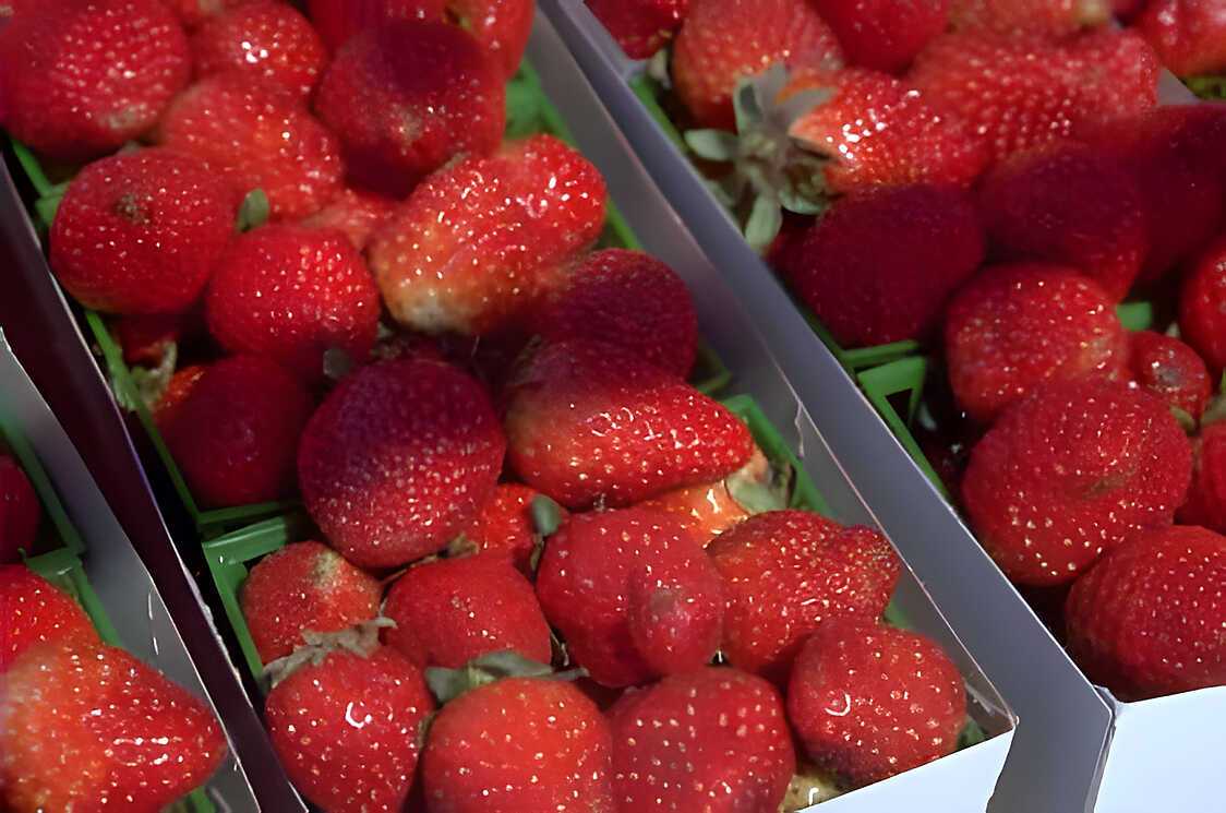 Recette de Confiture de fraises à la menthe du jardin