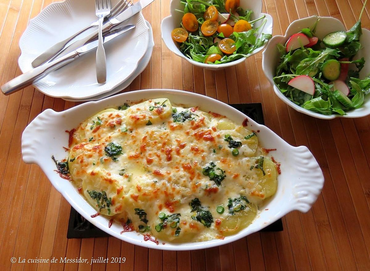 recette Gratin du pêcheur aux herbes fraîches +