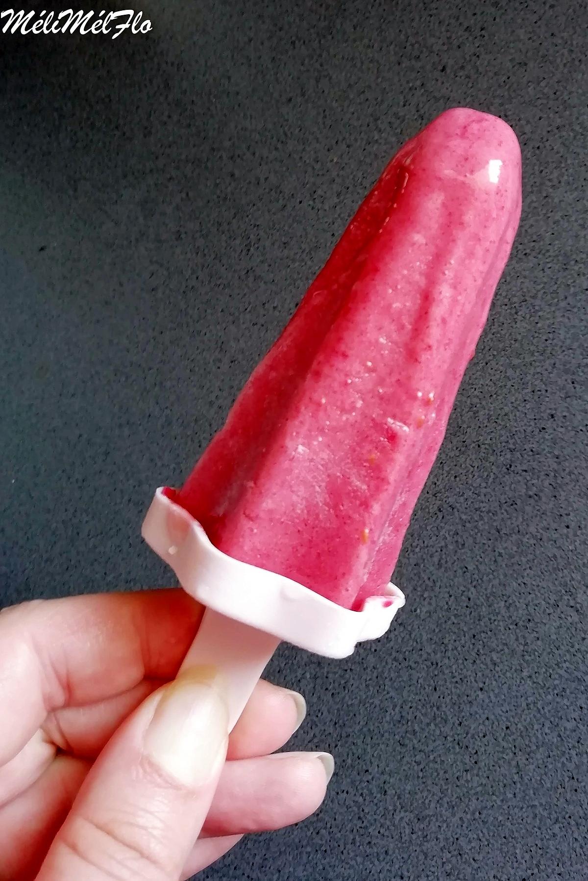 recette Glace au yaourt au lait de coco, framboise banane sans produit laitier animal