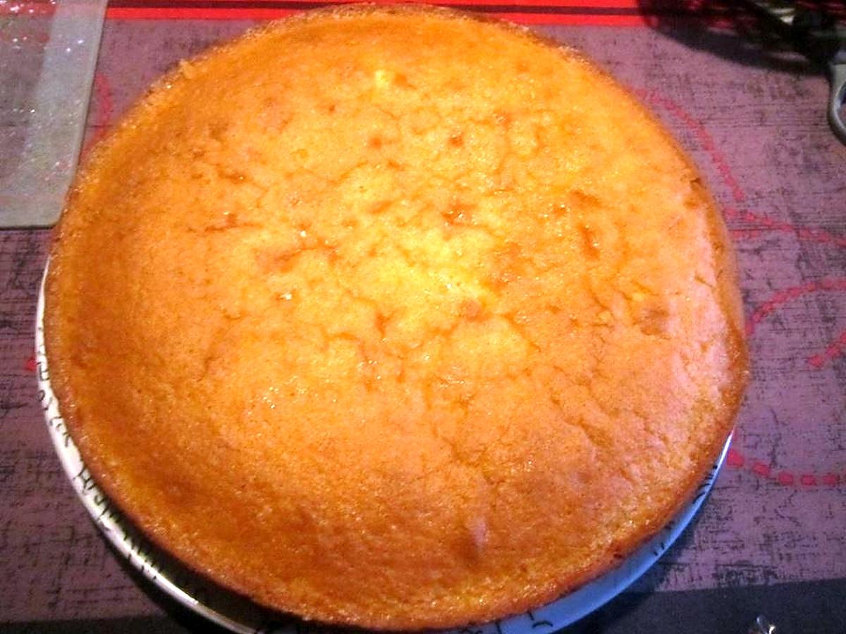 recette Gâteau mes amis aux pays fleuris.