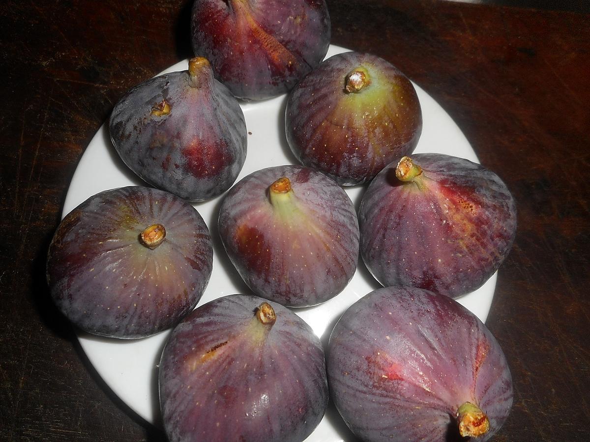 recette Cailles aux figues de solliès et romarin