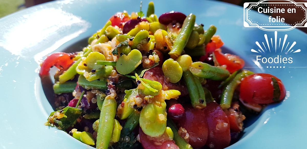 recette Salade de quinoa-feves-mozza-haricots rouges sauce tomate au vin blanc