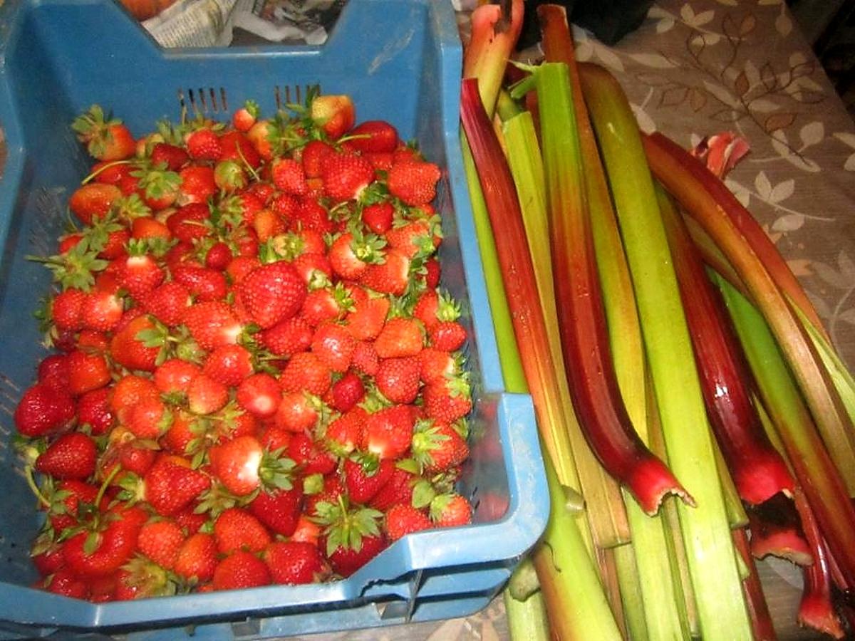 recette confiture fraises,rhubarbe.