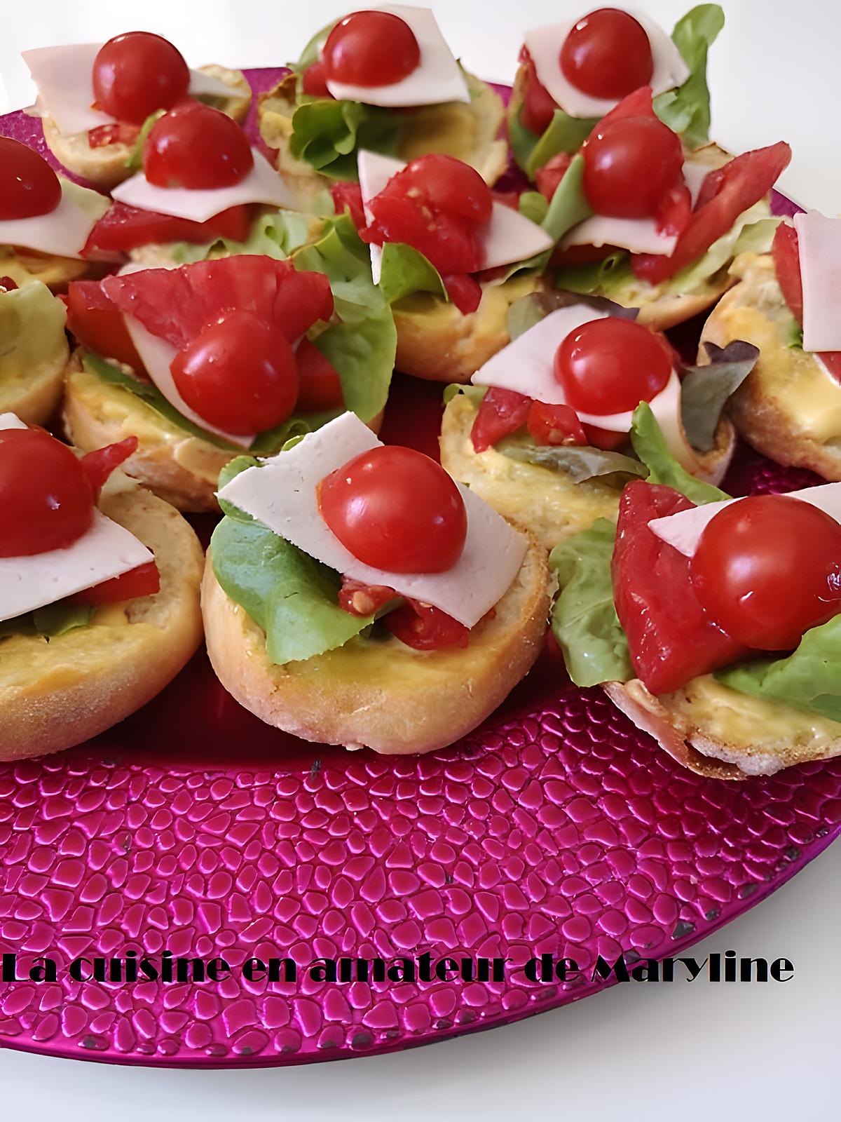 recette Petits toasts express