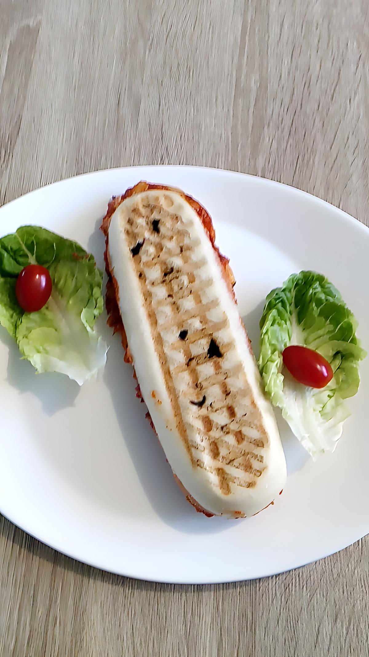 recette panini au poulet