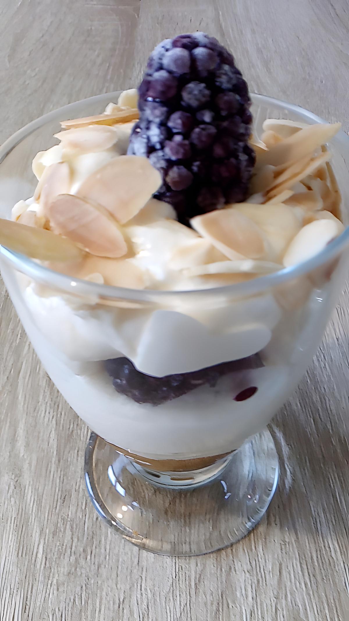 recette délice de mousse aux mures