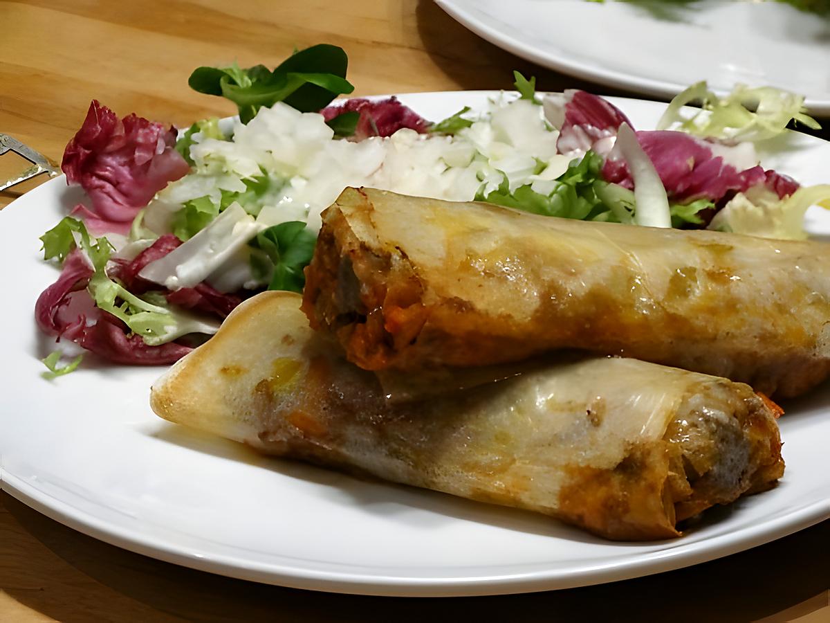 recette Croustillants de Viande Hachée aux Légumes