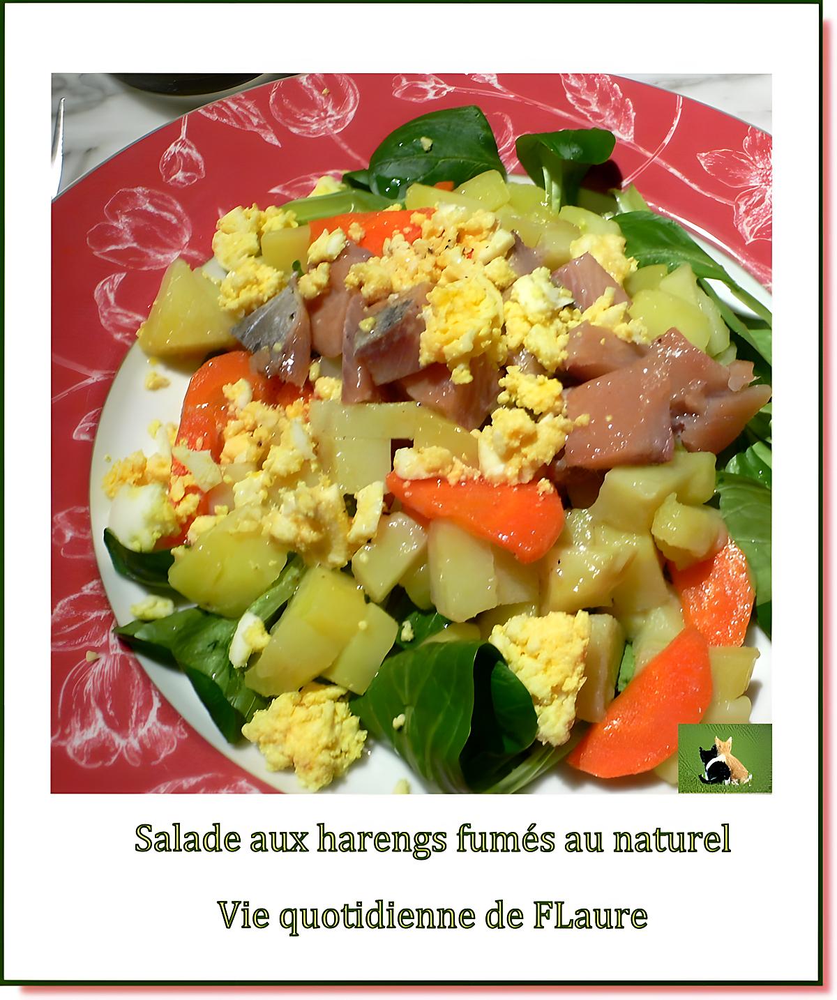 recette Salade aux harengs fumés au naturel