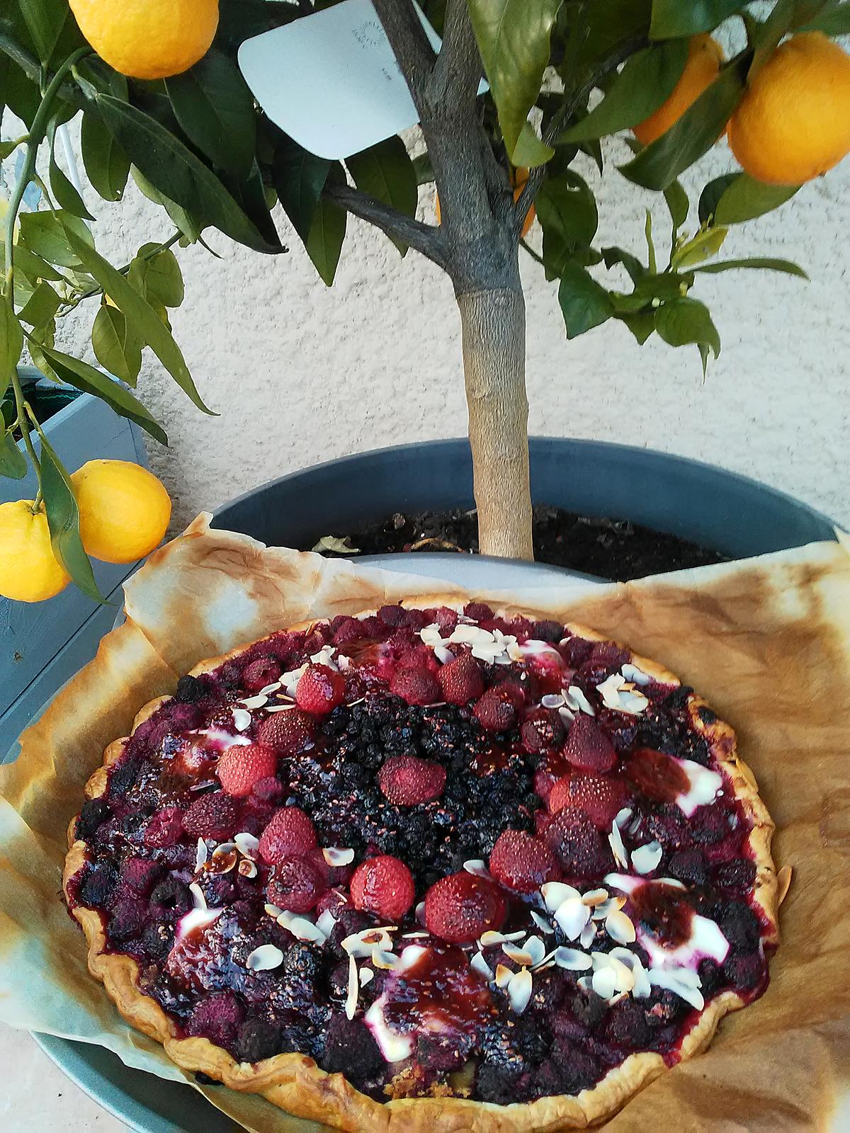 recette Tarte aux framboises  fraises myrtilles surgelés  ...sur fond de  moelleuses madeleines saveur citron