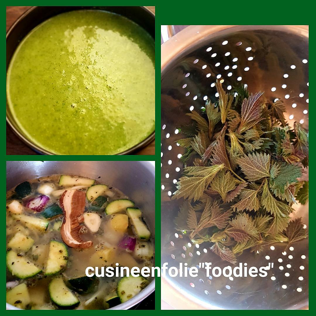 recette Soupe orties-courgettes le plein de vitamines! Excellent contre le rhume des foins!