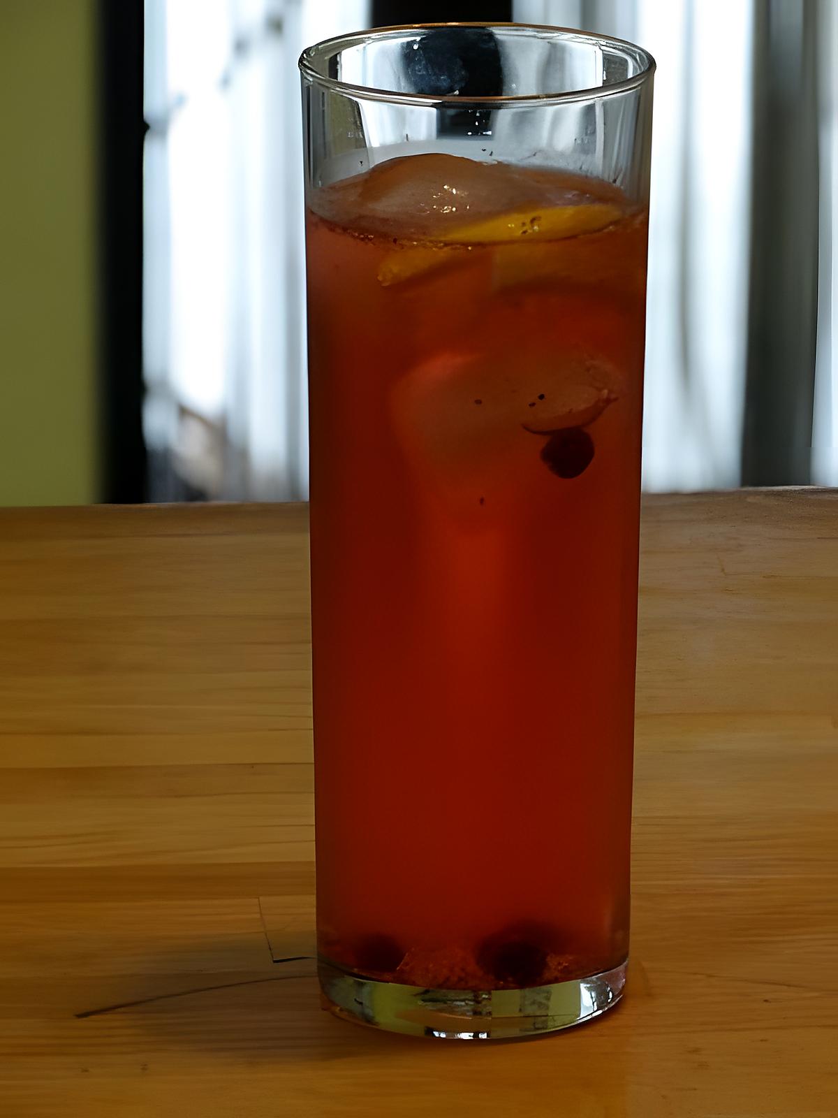 recette Gin-Tonic Fraises des Bois