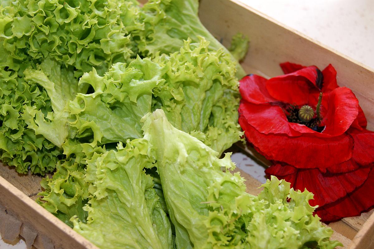 recette Salade verte (laitue ou autre) aux coquelicots et ovaires de coquelicot.