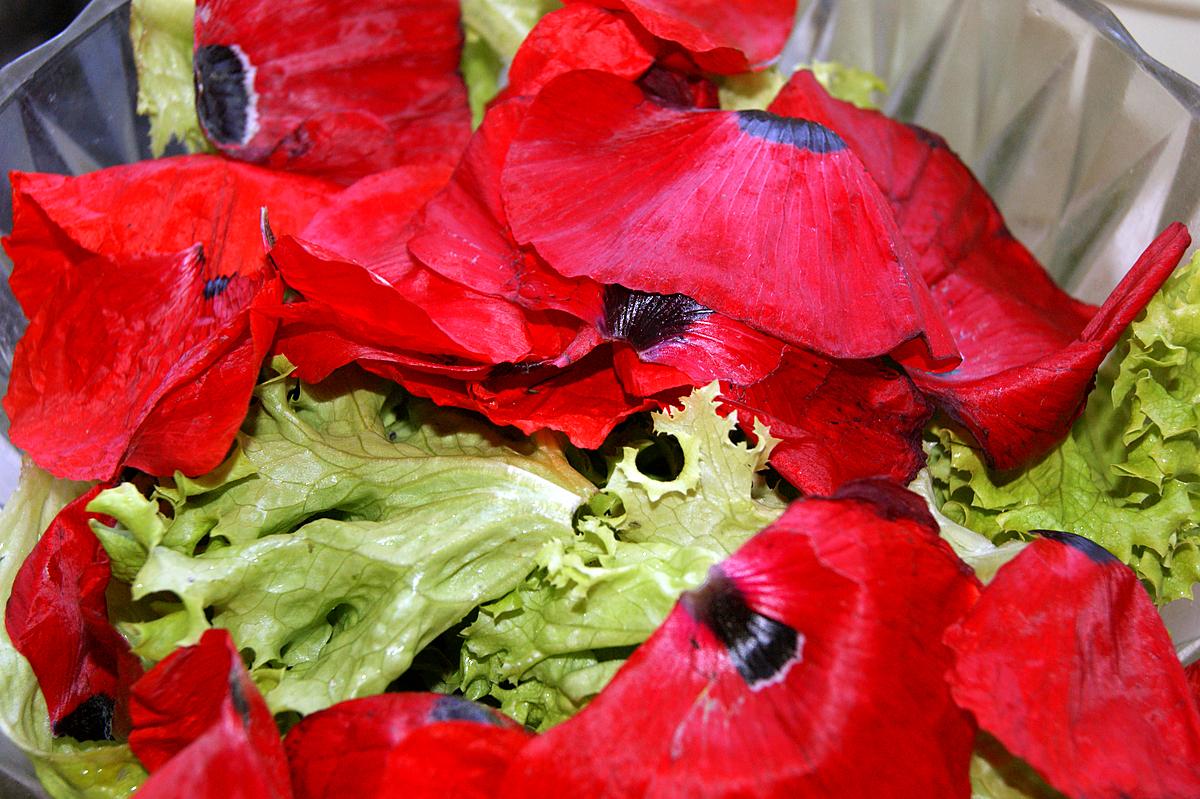 recette Salade verte (laitue ou autre) aux coquelicots et ovaires de coquelicot.