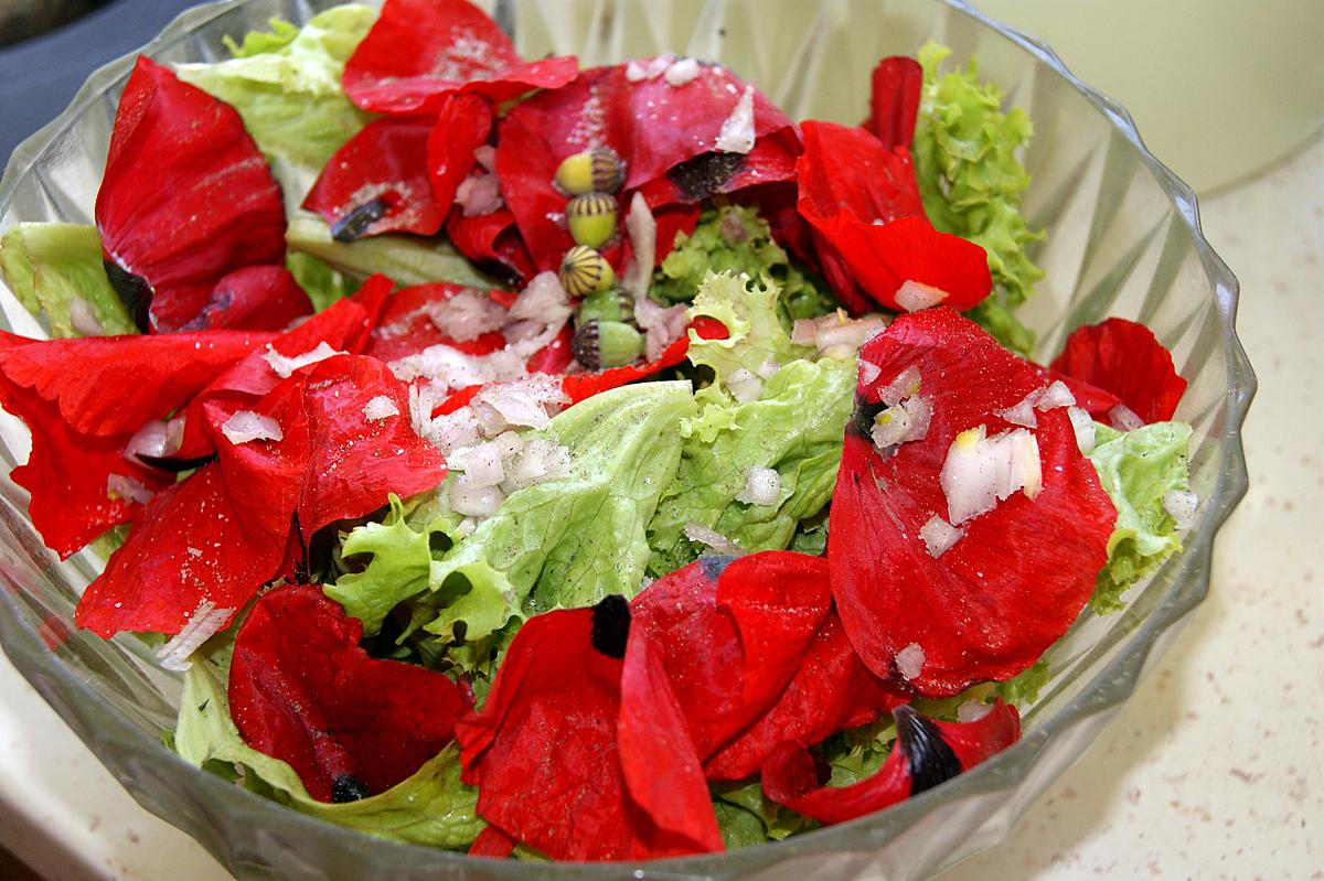 recette Salade verte (laitue ou autre) aux coquelicots et ovaires de coquelicot.