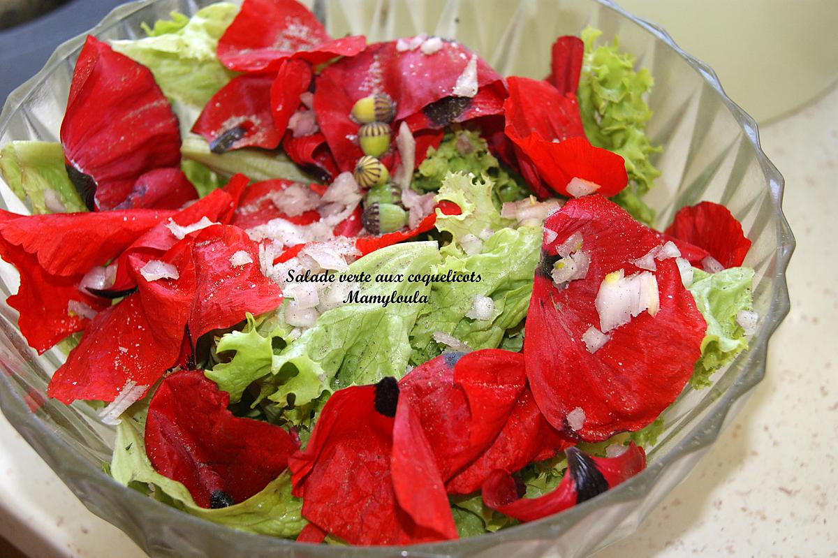 recette Salade verte (laitue ou autre) aux coquelicots et ovaires de coquelicot.