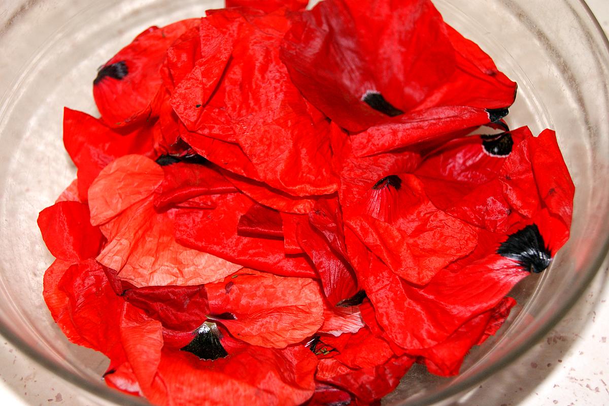 recette Sirop de coquelicot