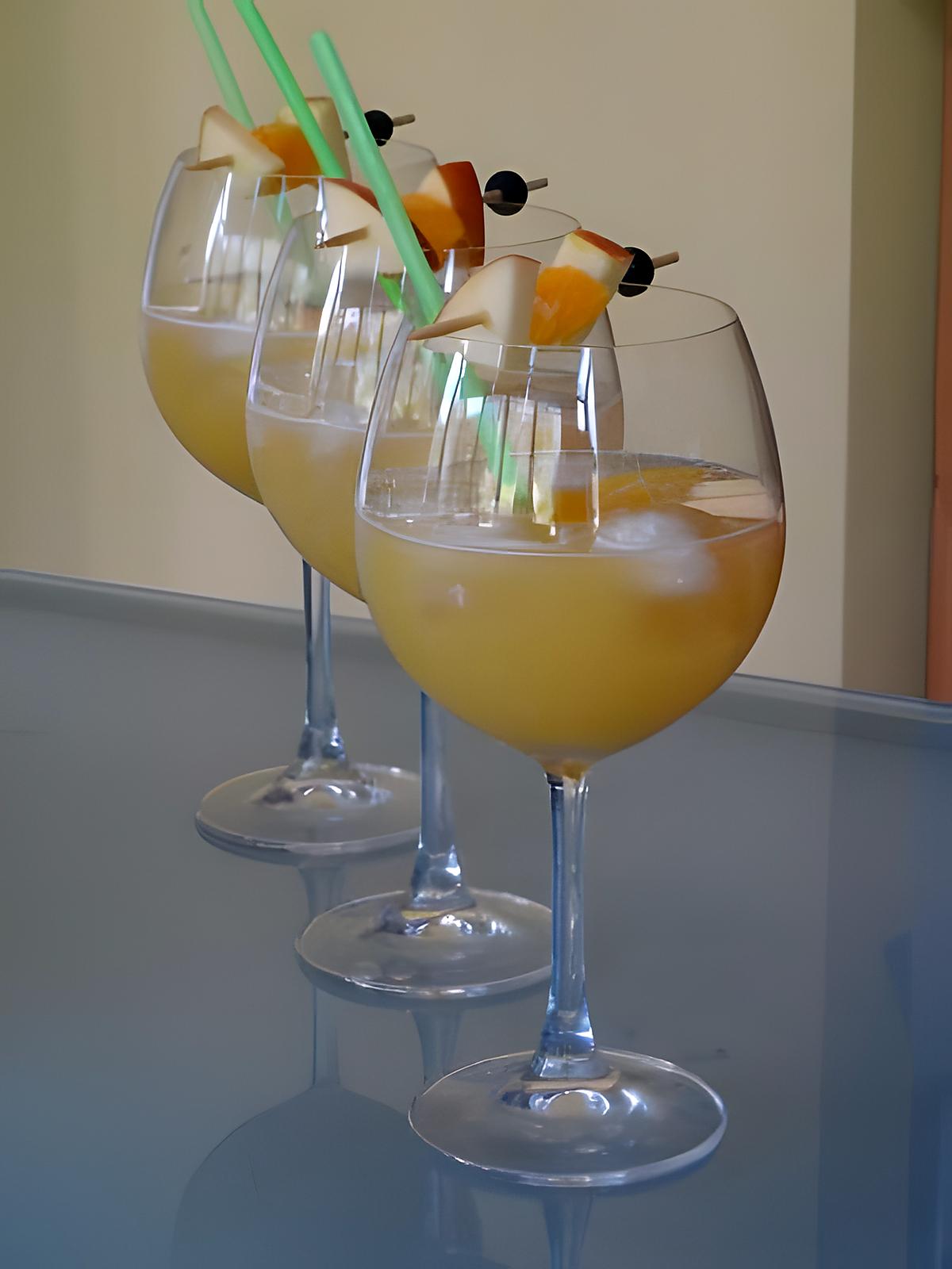 recette Punch Exotique au Martini