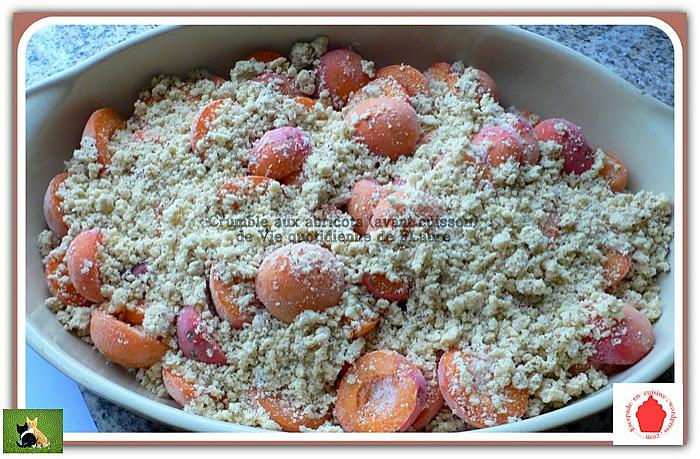 recette Crumble aux abricots