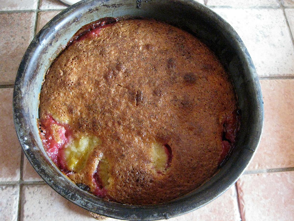 recette Gâteau fondant aux prunes de mon jardin