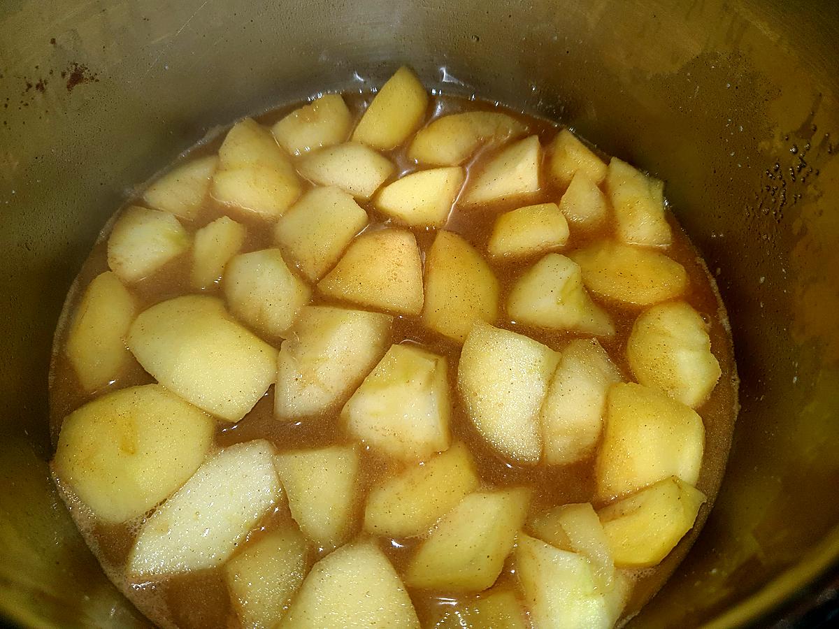 recette Tarte aux pommes  compote maison