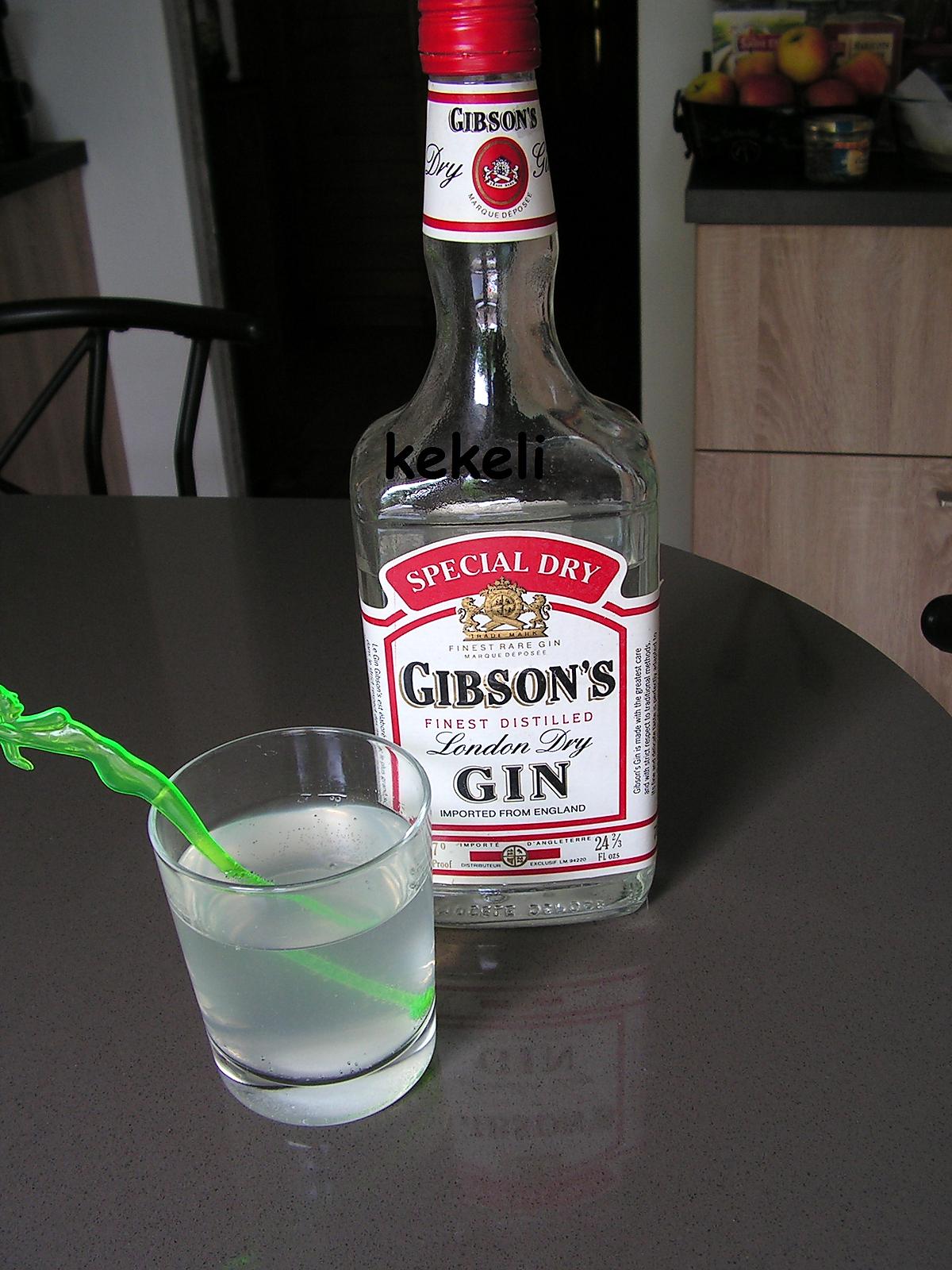 recette Gin Fizz