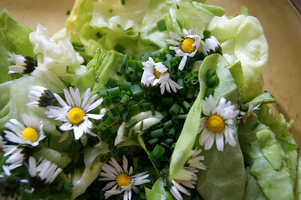 recette vinaigrette à la pâquerette