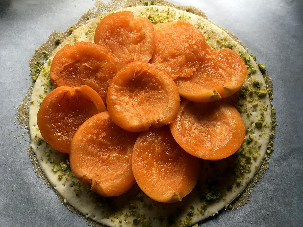 recette Tarte fine aux abricots