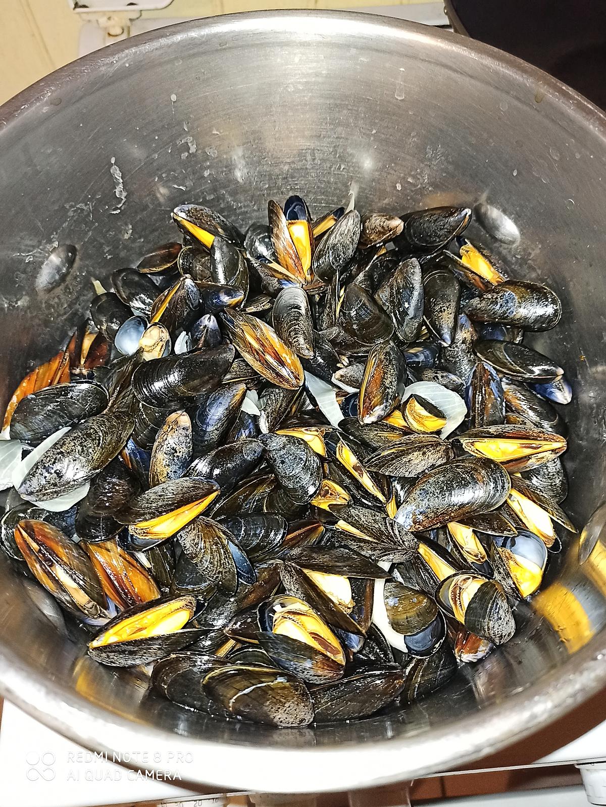 recette Moules de bouchot au vin blanc