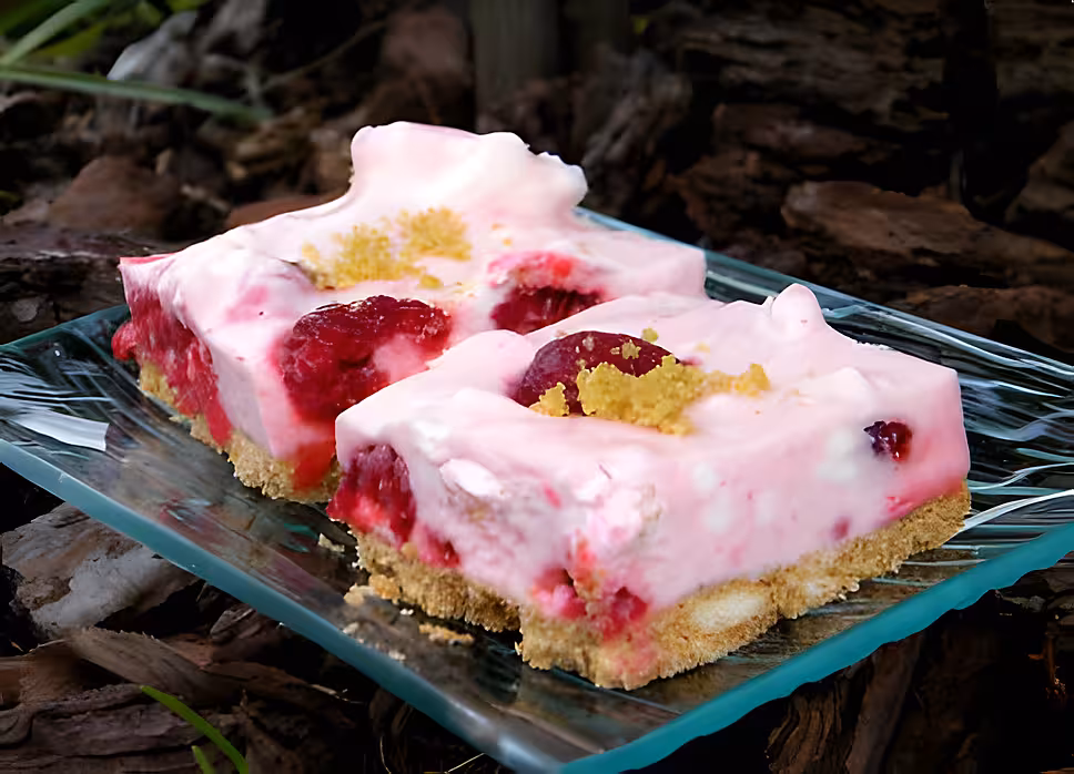 recette Ooo Carrés sans cuisson, framboises, citron & chamallows ooO