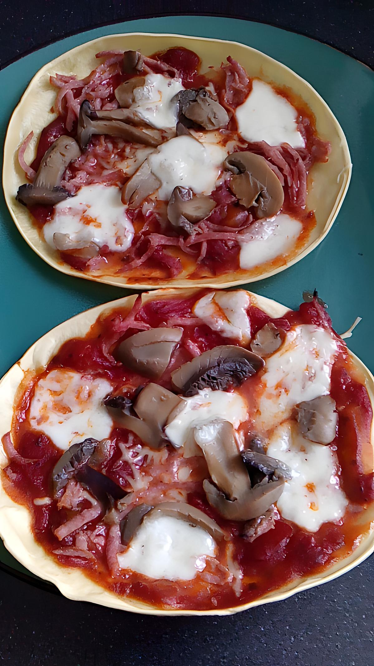 recette mini pizza avec restant de pate a lasagne