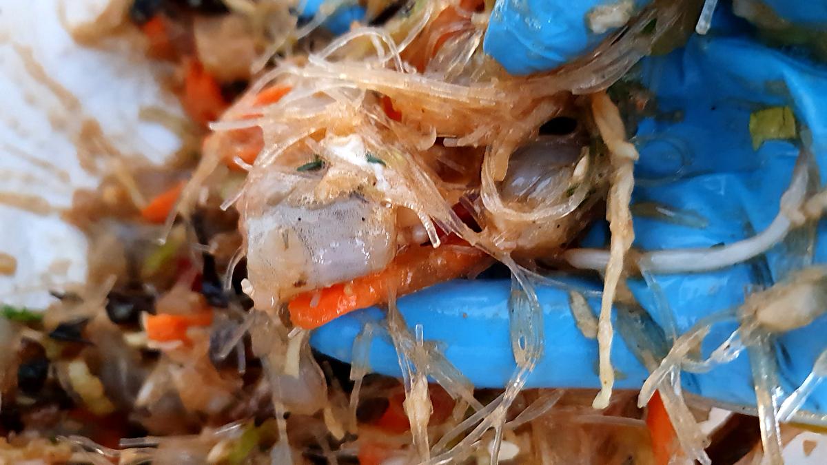 recette Nems aux crevettes champignons