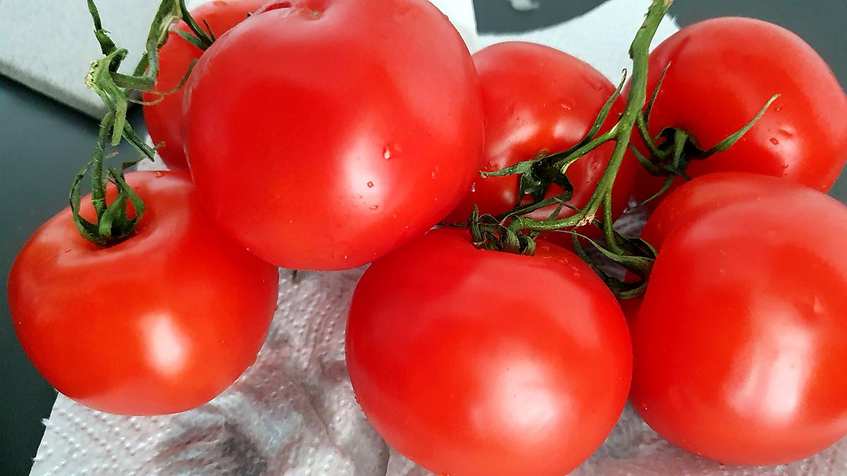 recette Sauce tomate au Grana Padano