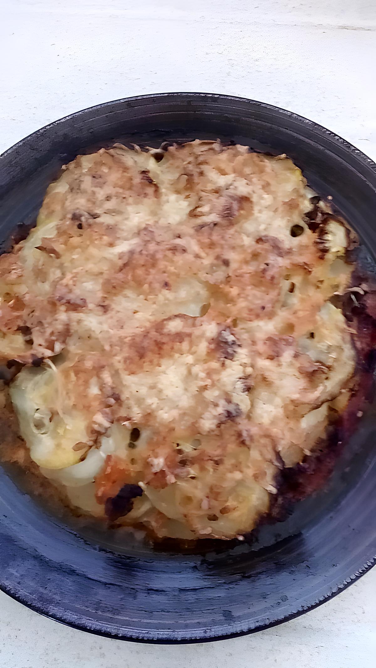 recette gratin de courgette a la bolognaise