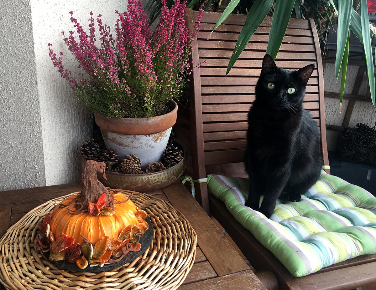 recette Gâteau Halloween citrouille !