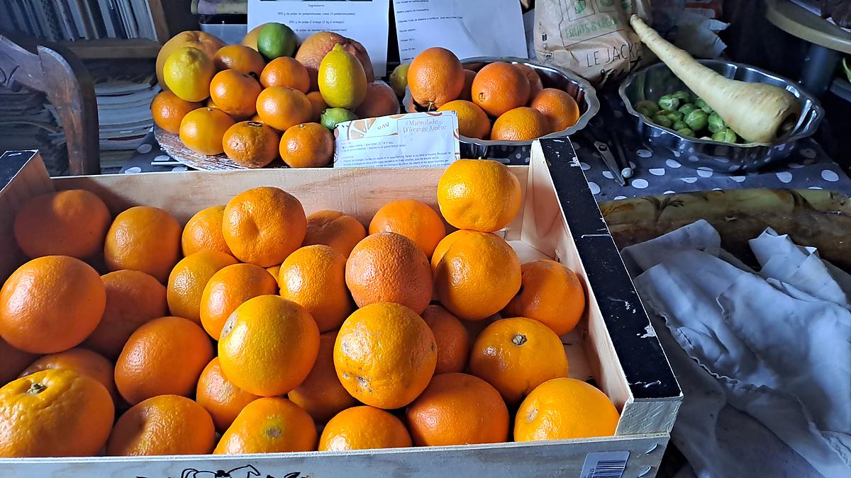 recette confitures oranges  améres ET AUTRES  RECETTES CONFITURE  ORANGE