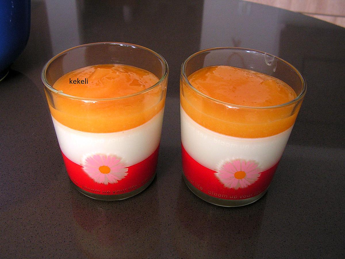 recette Panna cotta à l'abricot en conserve