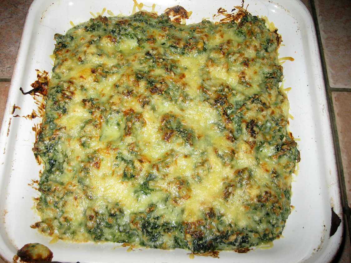 Recette de Gratin de chou frisé, béchamel et fromage