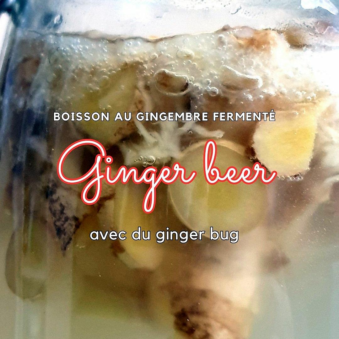 recette ginger beer, la biere 100% gingembre