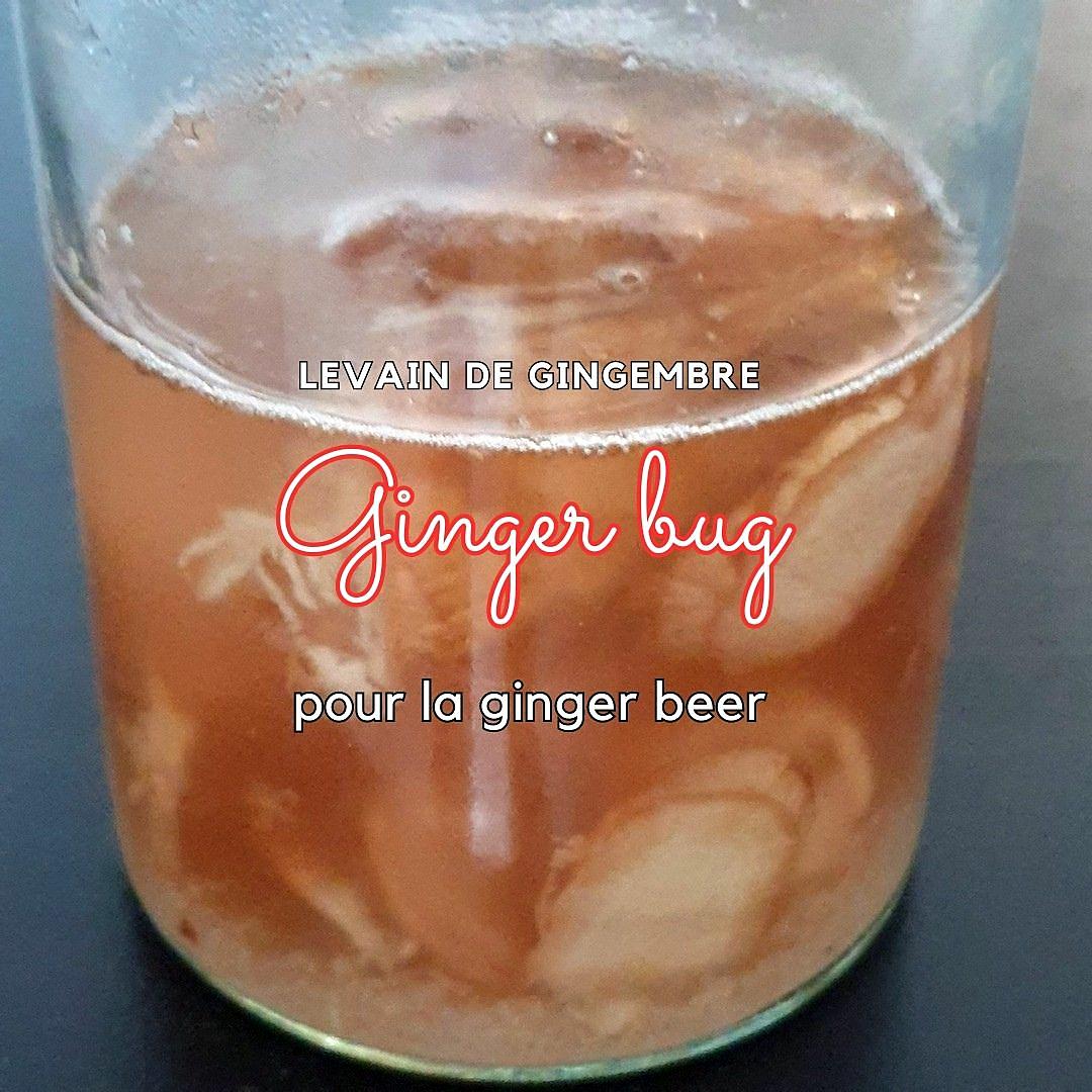 recette ginger beer, la biere 100% gingembre