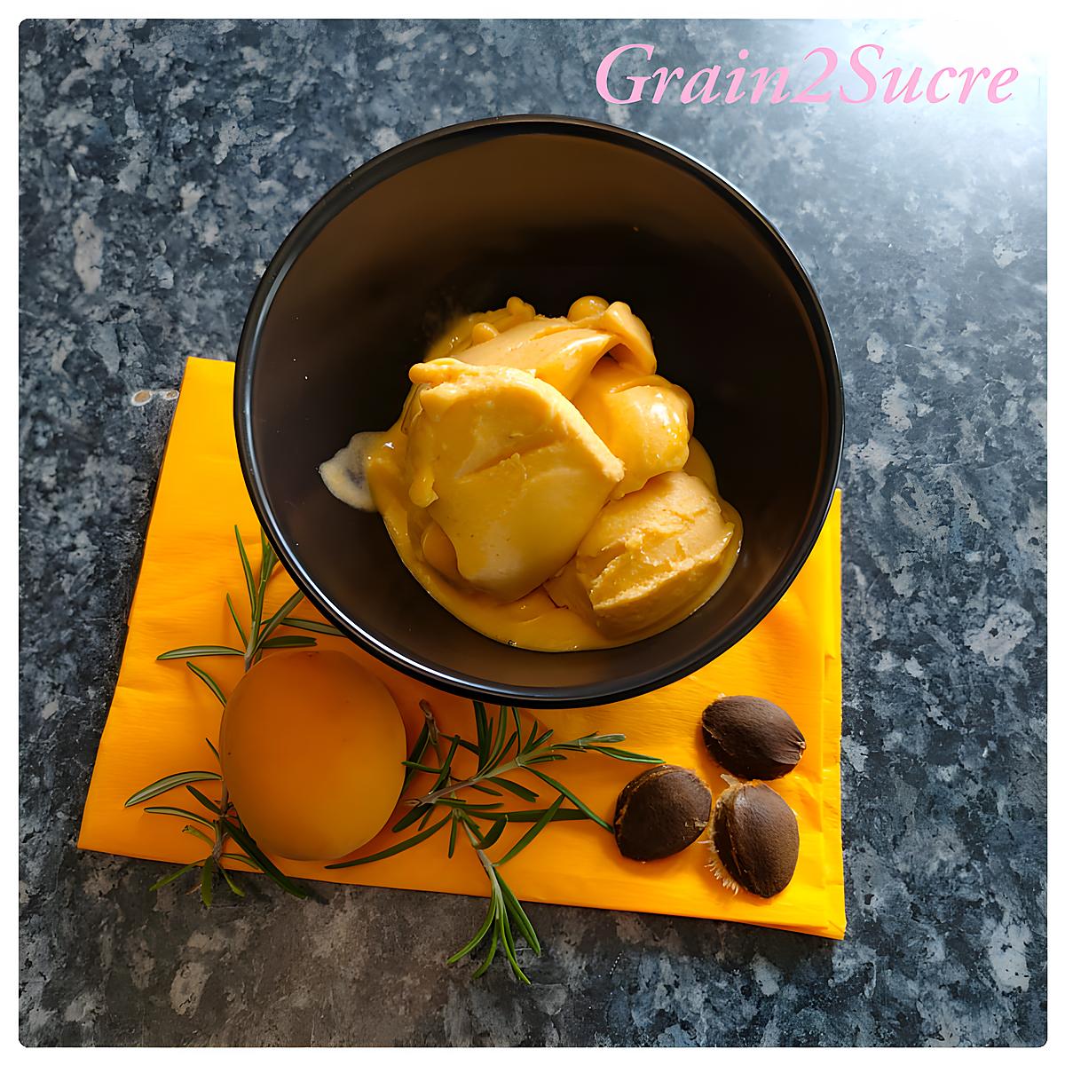 recette Sorbet aux abricots & romarin